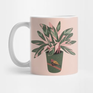 Stromanthe Houseplant Mug